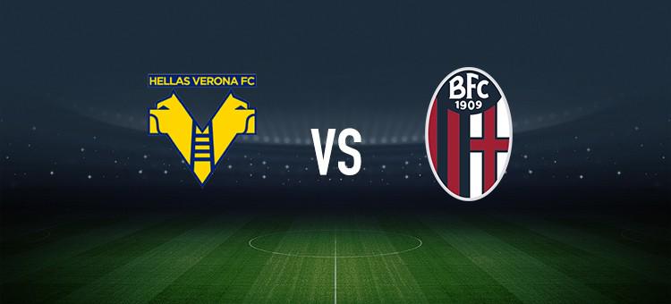 进入新赛季 进入新赛季